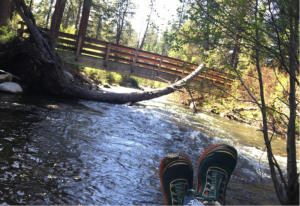 Tumble Creek in Shevlin Park (Photo: Marlys Johnson)