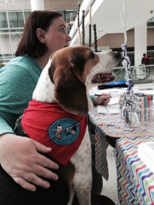 Finn manning the table
