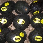 organic foods