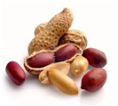 peanuts